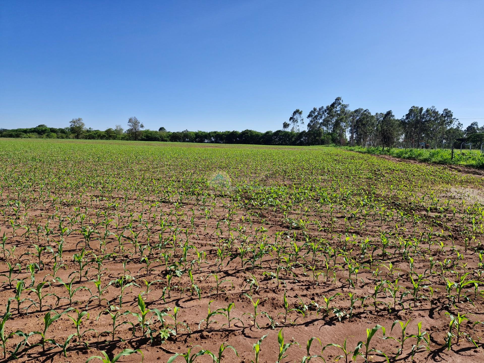 Área Industrial e Empresarial Casa Branca SP