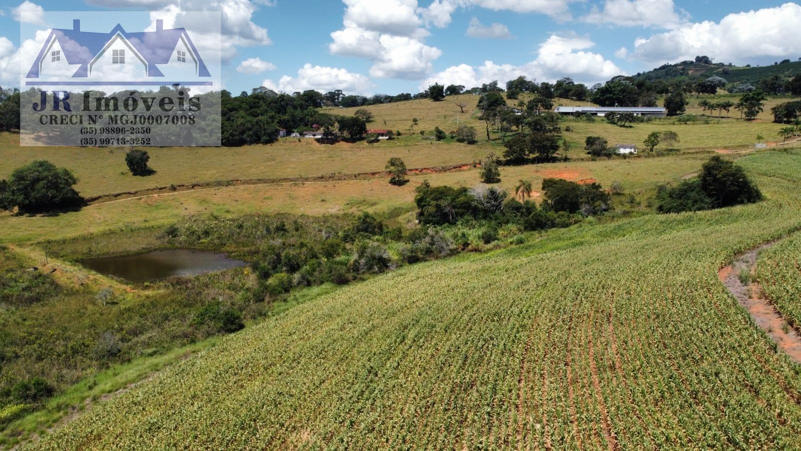 Rural à venda no Bairro Floresta, Piranguinho (MG) — foto 4 de 11