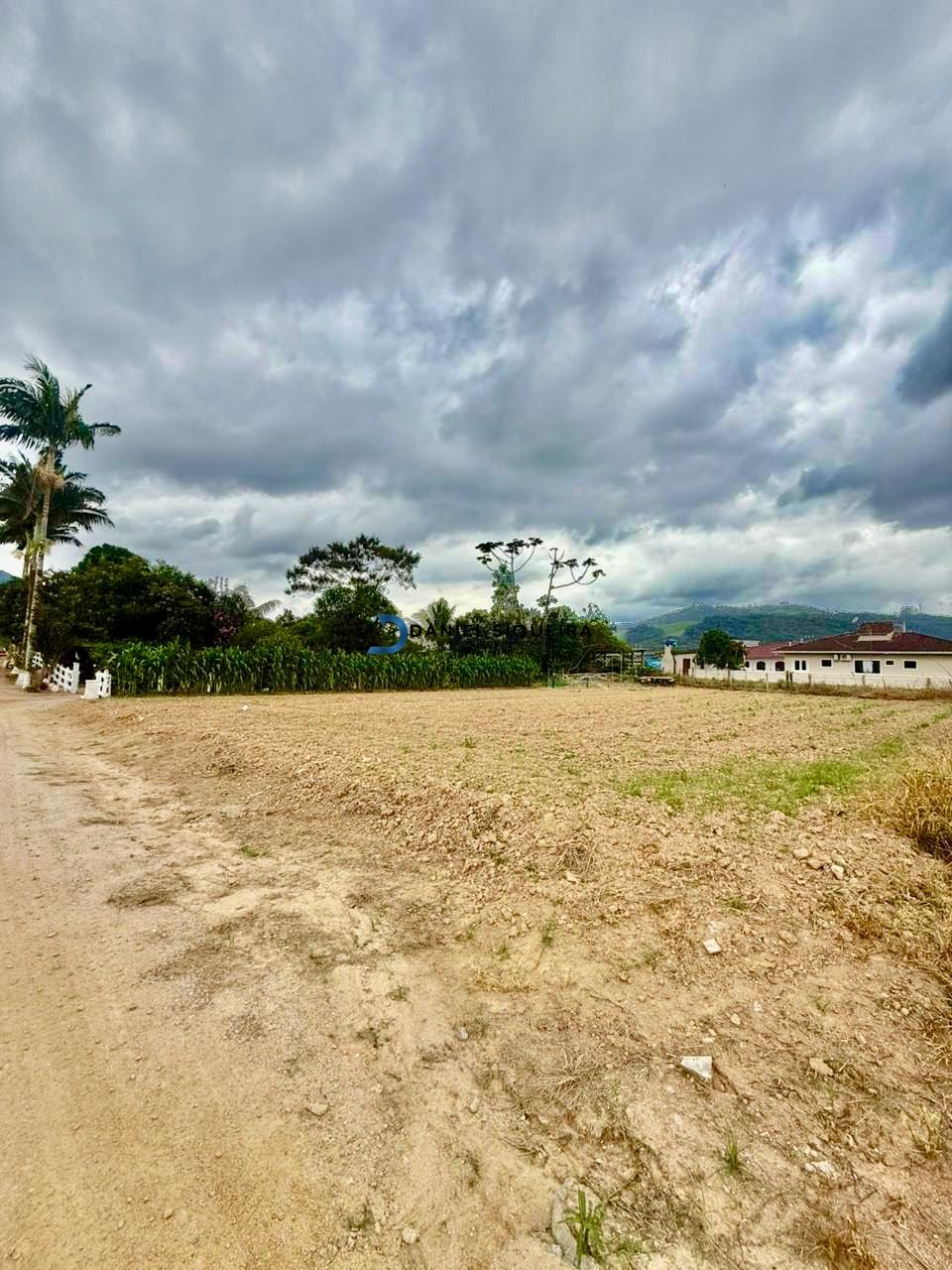 Terreno à venda com 825m² de terreno no Guiomar, Antônio Carlos (SC) — foto 4 de 4