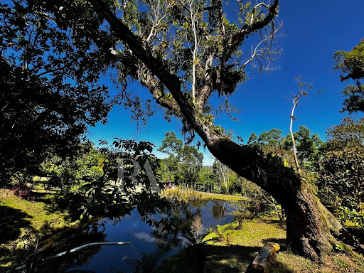 Chácara  a venda em   Rio Negrinho