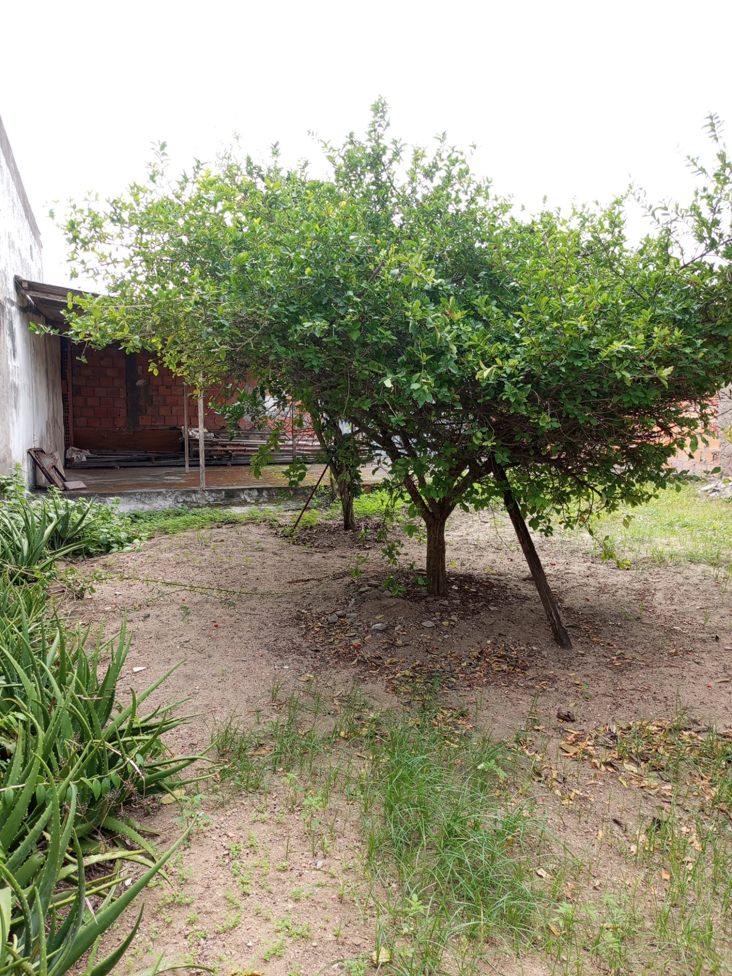 Terreno à venda com 325m² de terreno no Jardim Acácia, Feira de Santana (BA) — foto 4 de 7