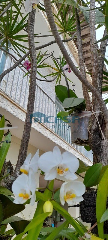 Foto 03