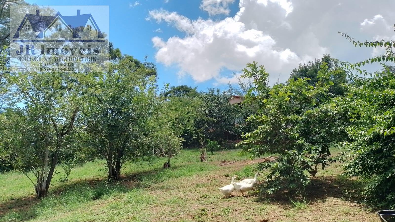 Rural para alugar com 4000m² de terreno no Bairro Marianos II, São José do Alegre (MG) — foto 16 de 28