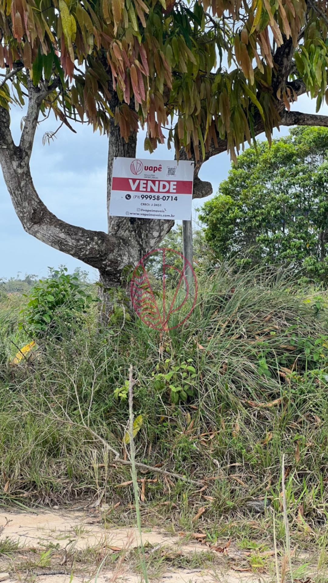 Comercial à venda com 12482m² no Pólo Industrial de Camaçari, Camaçari (BA) — foto 7 de 12