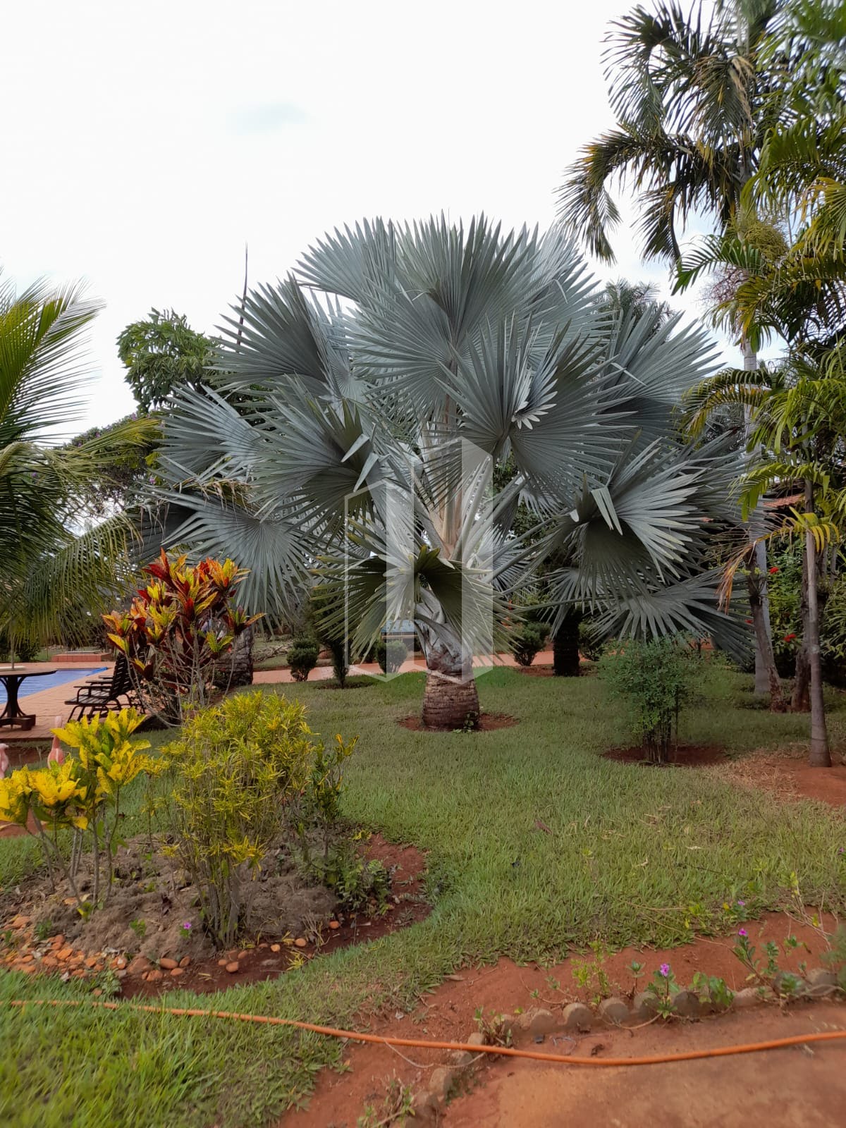 Rural à venda com 1000m² de terreno no Chácaras Vargem Bonita II, Senador Canedo (GO) — foto 5 de 23