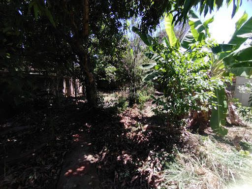 Quintal