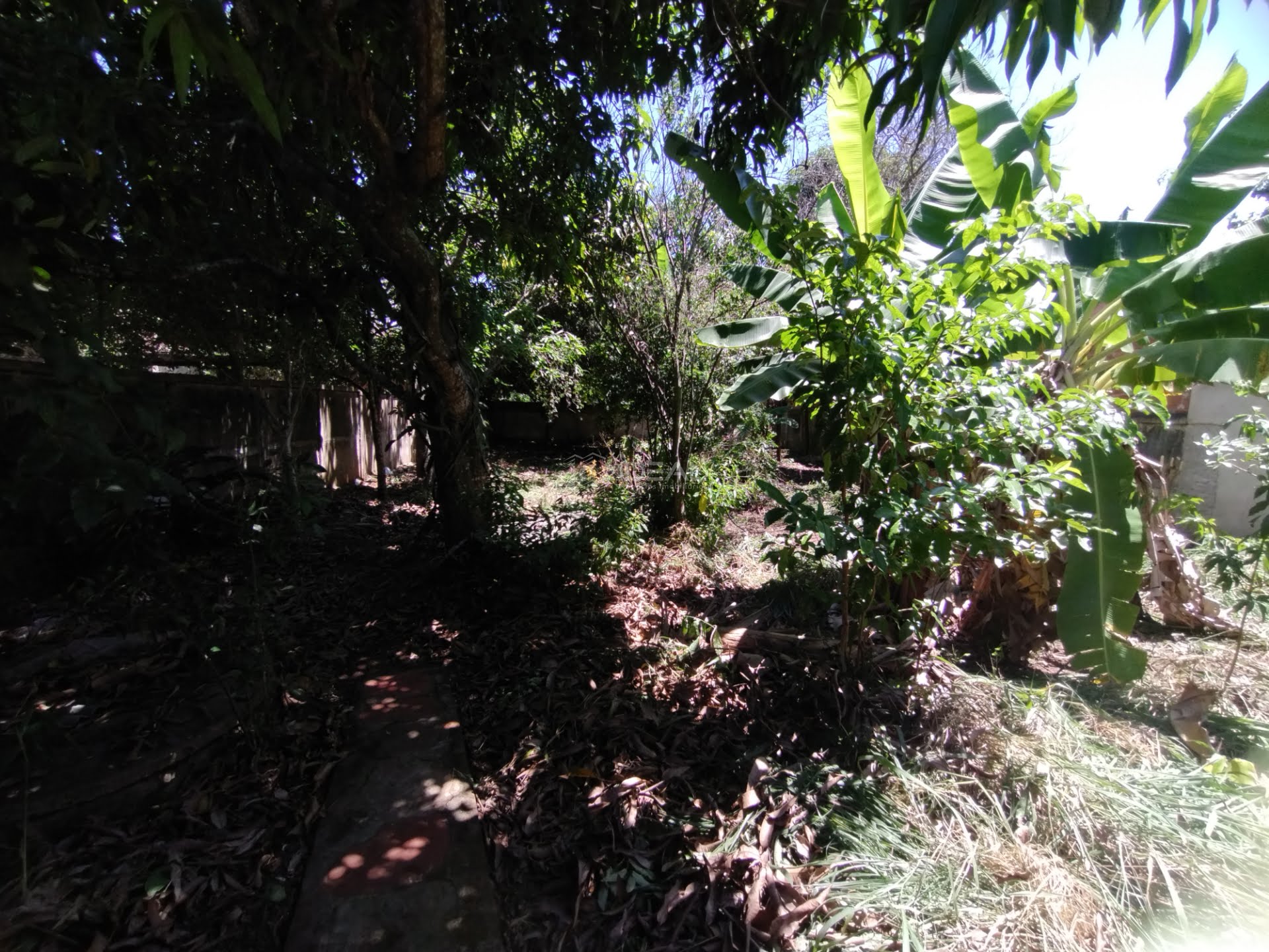 Quintal