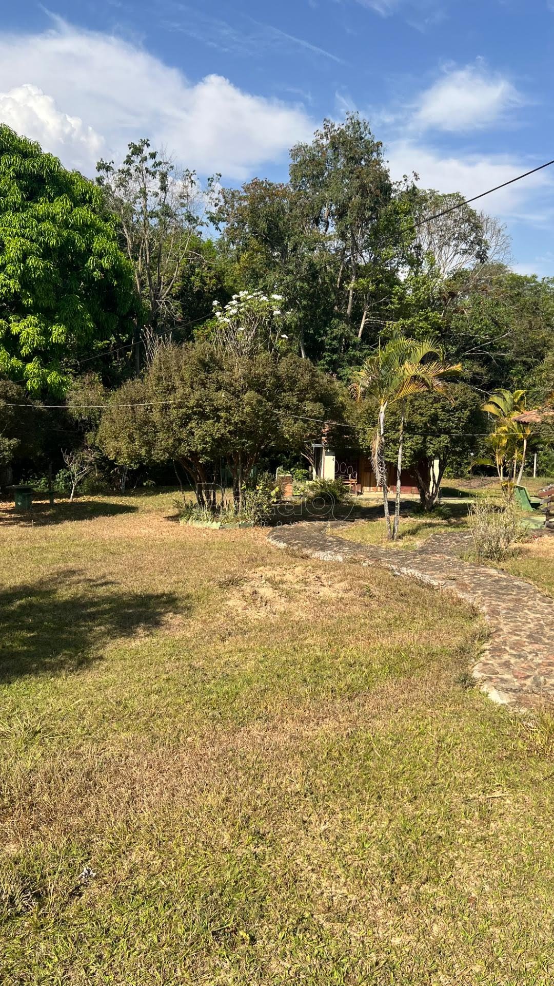 Fazenda, 1001 hectares - Foto 12