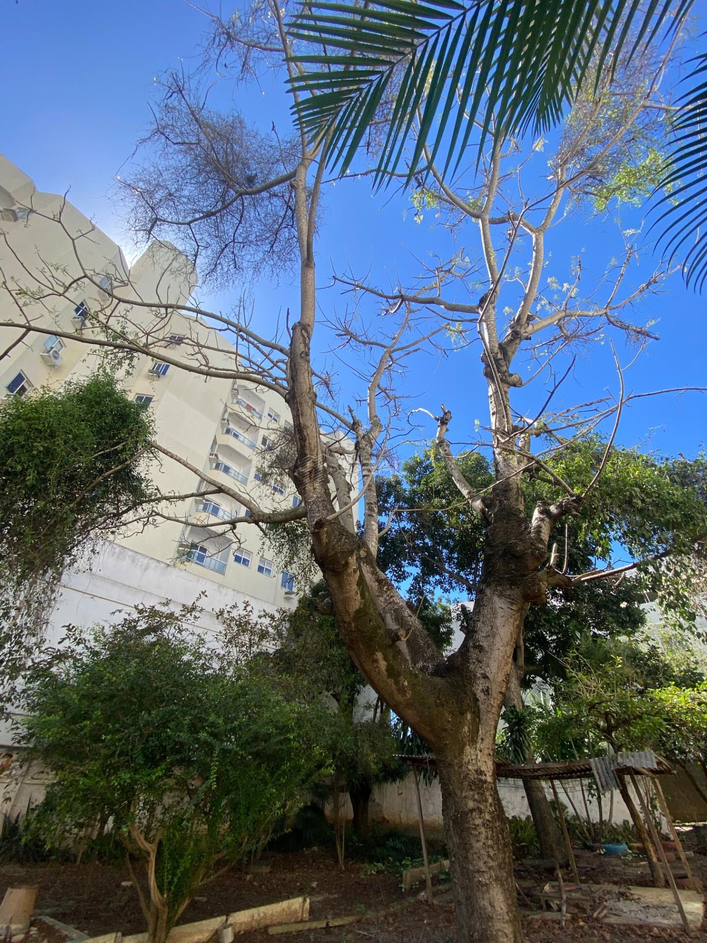 Comercial à venda com 1948m² no Parque Turf Club, Campos dos Goytacazes (RJ) — foto 9 de 24