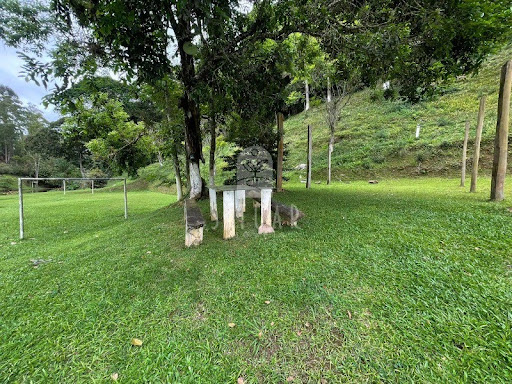 Foto 10