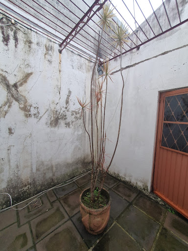 Área de Luz