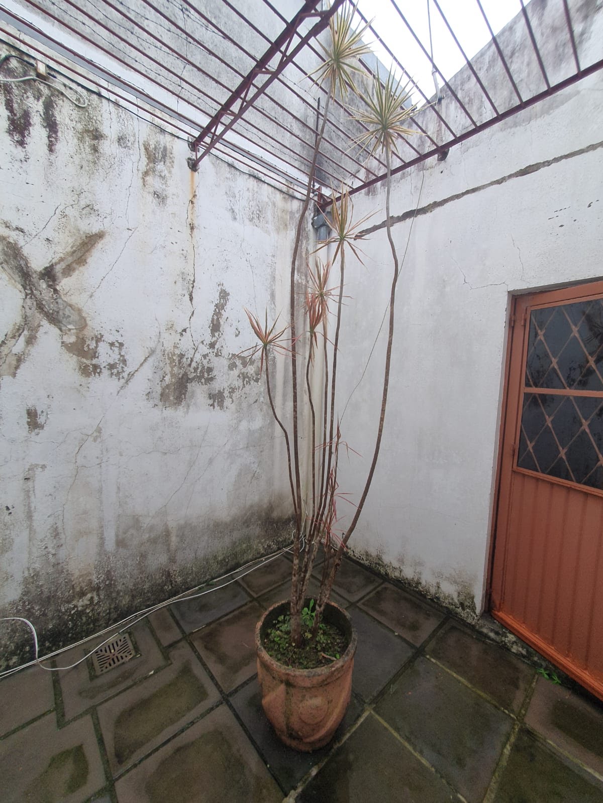 Área de Luz