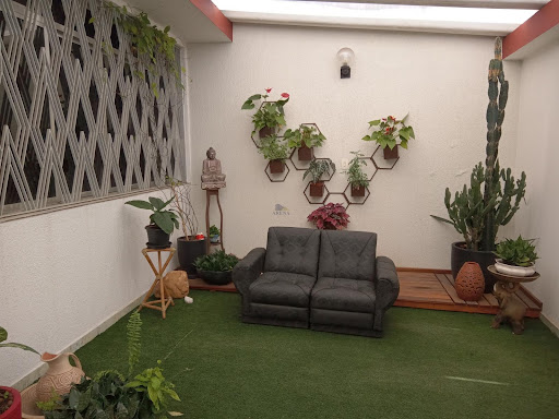 FOTO_5