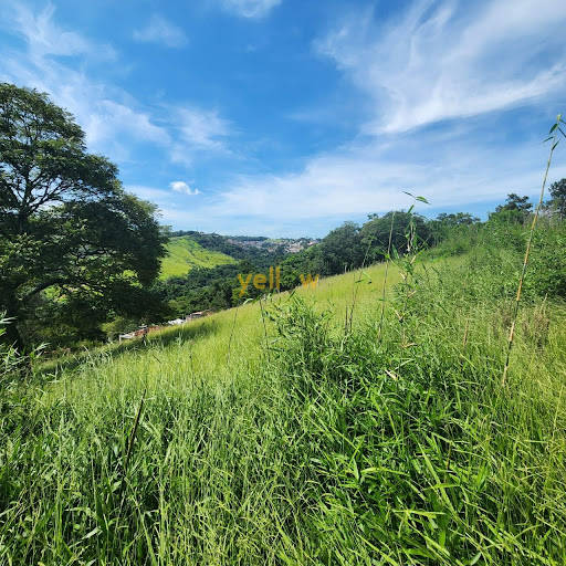 Terreno Residencial No Bairro do Lanificio - 681,1m²