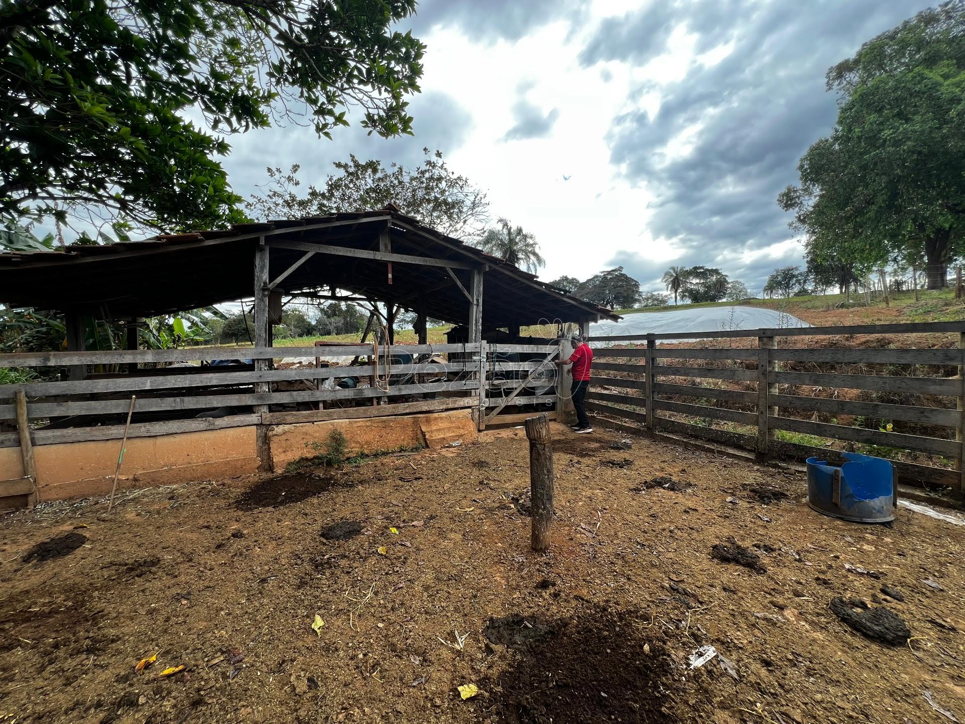 Rural à venda no Estrada Que Liga Itapuranga A Vila São José, Itapuranga (GO) — foto 29 de 30