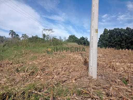 Sítio / Chácara SEM CASA em Coronel Pilar / RS - Comunidade São José