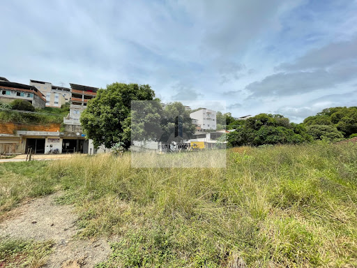 Lote / Terreno em Ibraim Mendoca  -  Cataguases