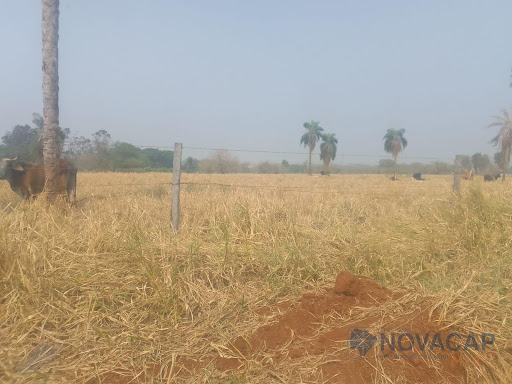 Chácara à Venda em Terenos, Próx. Antiga Pedreira - R$699.600