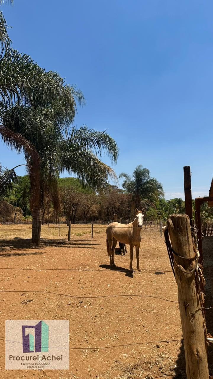 Rural à venda com 40000m² de terreno no Núcleo Rural Rajadinha, Brasilia - Df, Brasília (DF) — foto 10 de 23