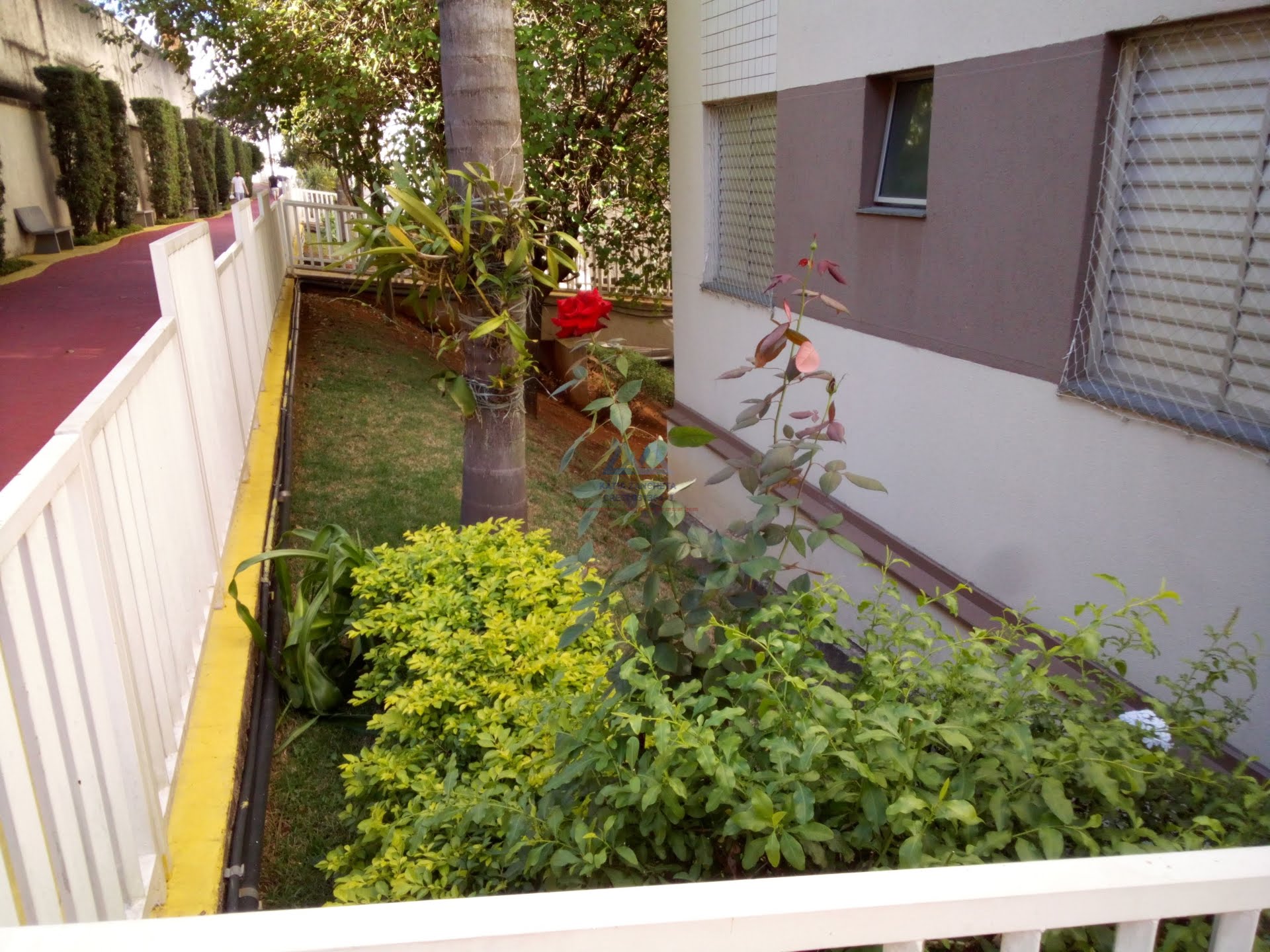 Apartamento à venda com 3 quartos, 1 banheiro, 1 vaga e 65m² no Vila Parque Jabaquara, São Paulo (SP) — foto 28 de 30