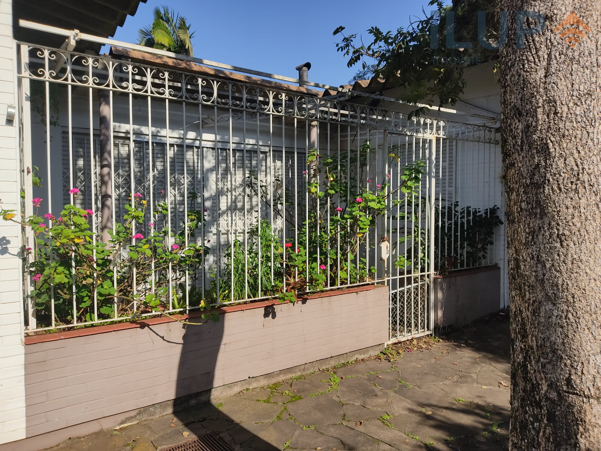 Jardim interno