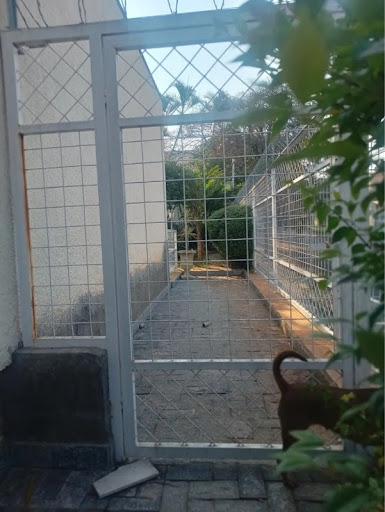 Foto 04