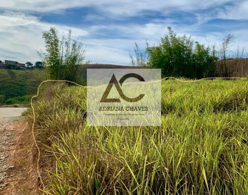 Lote / Terreno em Nova Copacabana  -  Ponte Nova