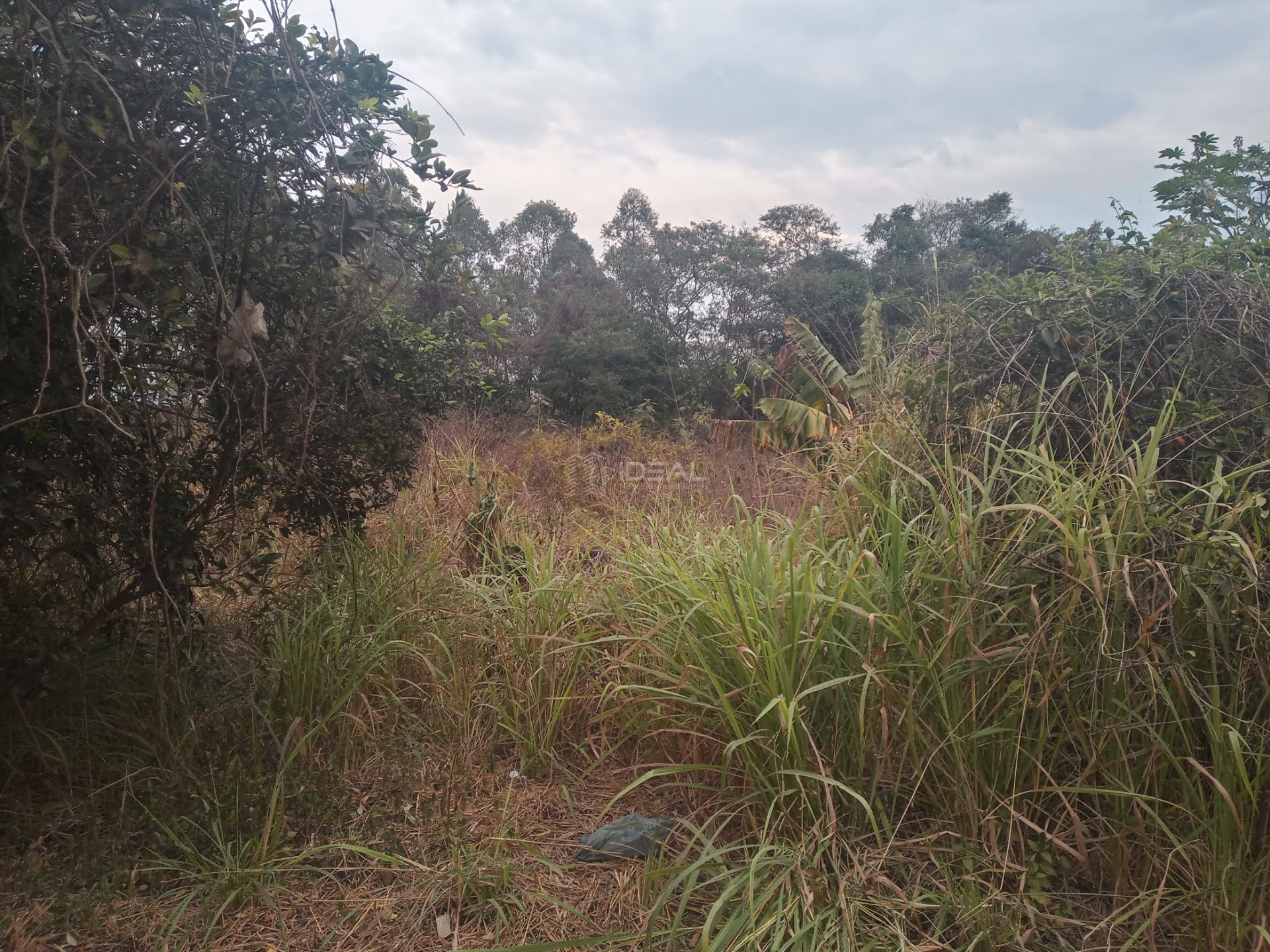 Comercial à venda com 1 banheiro e 18000m² no Mineiros, Campos dos Goytacazes (RJ) — foto 16 de 25
