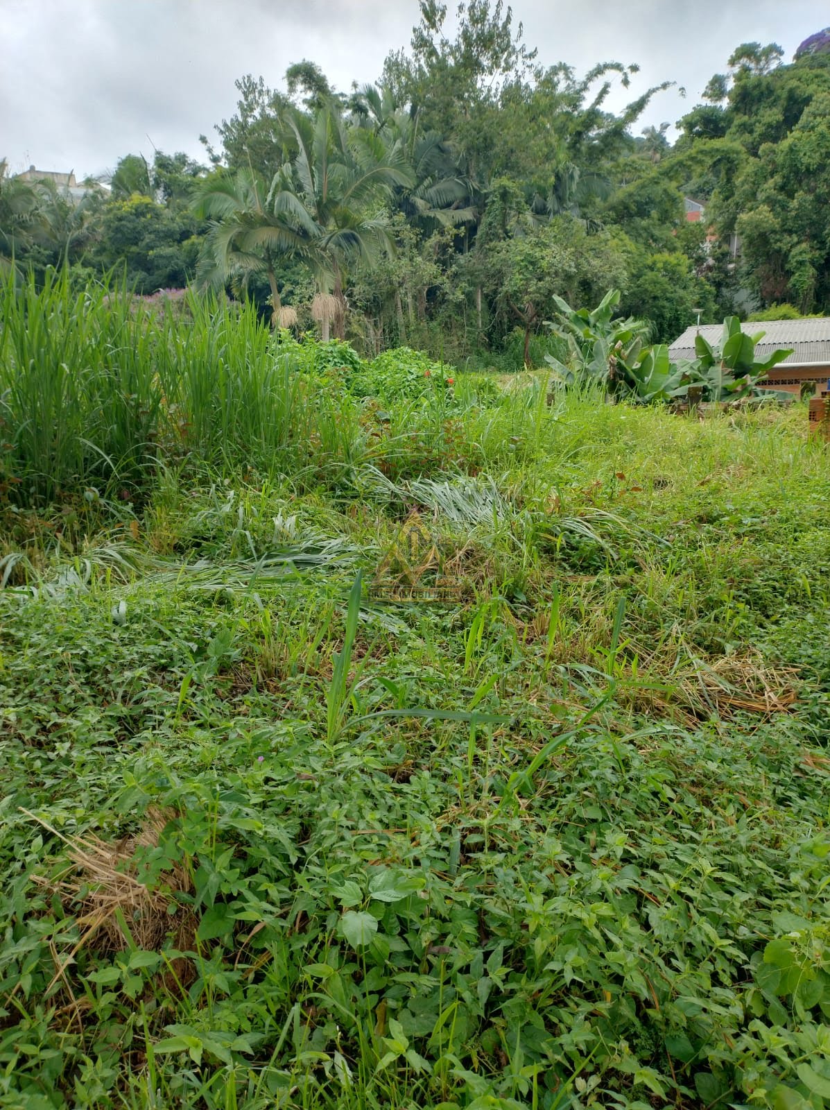 Terreno à venda com 160m² de terreno no Ribeirão Fresco, Blumenau (SC) — foto 5 de 9