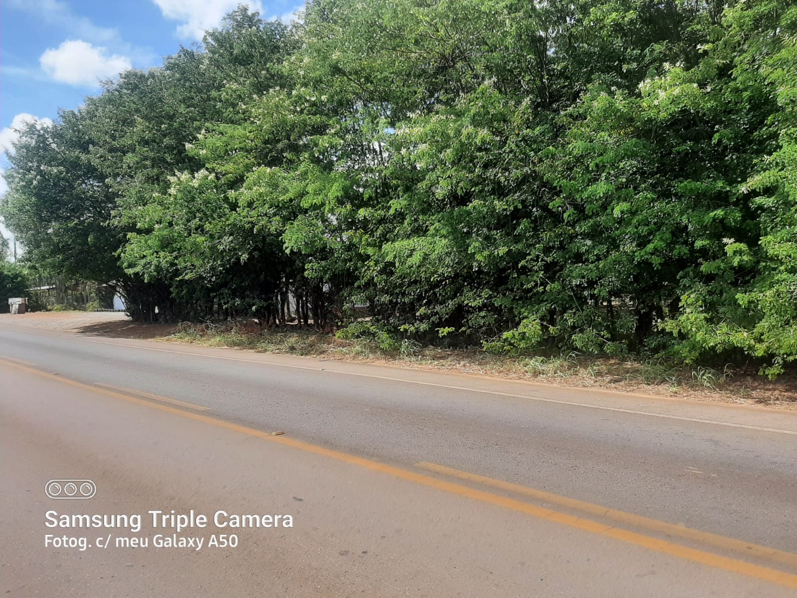 Rural à venda com 2500m² de terreno no Planaltina, Brasília (DF) — foto 7 de 7