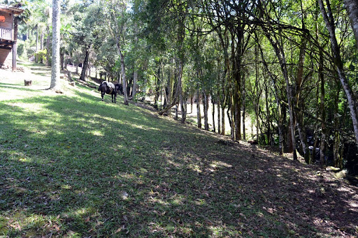 FOTO05