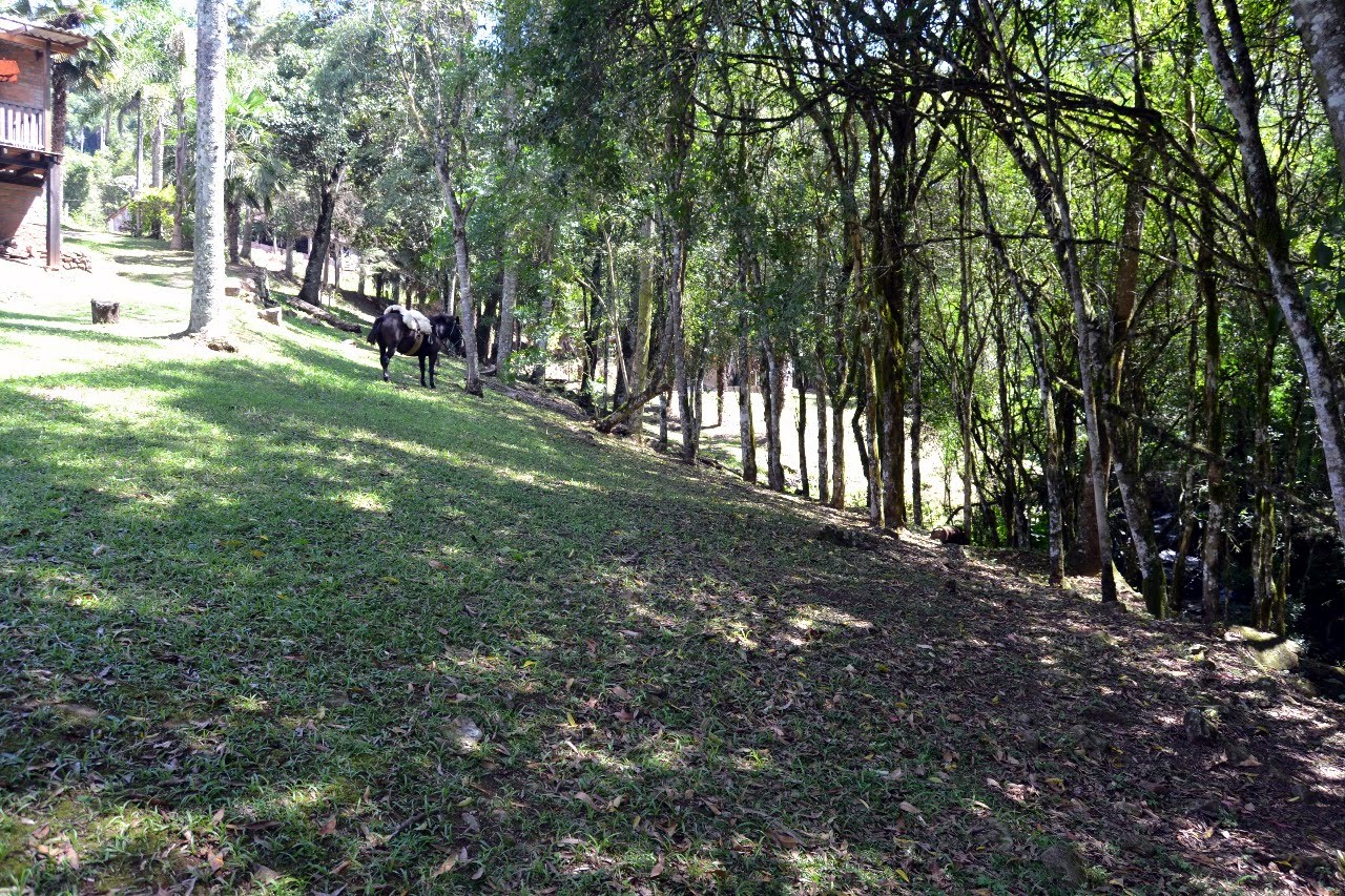 FOTO05