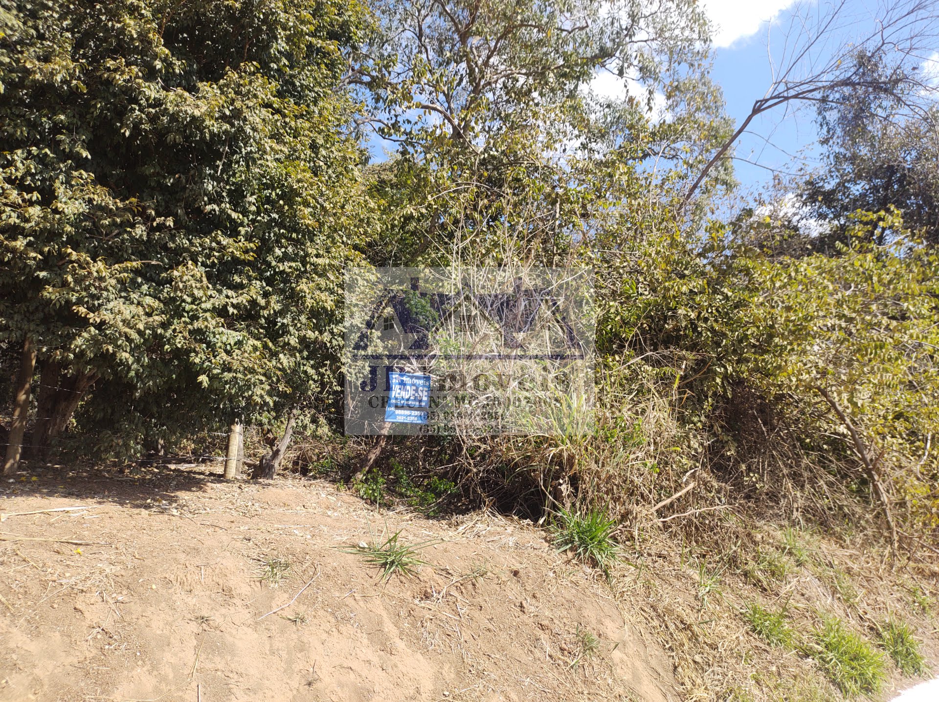 Terreno à venda com 5686m² de terreno no Santa Barbara, Piranguinho (MG) — foto 10 de 17
