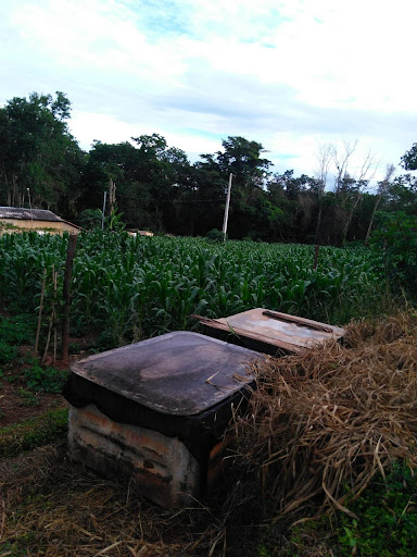 Fazenda em Zona Rural Uberlândia  -  Uberlândia