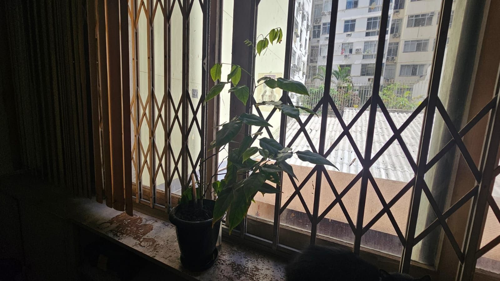 Apartamento à venda com 4 quartos, 2 banheiros, 1 vaga e 202m² no Copacabana, Rio de Janeiro (RJ) — foto 12 de 28