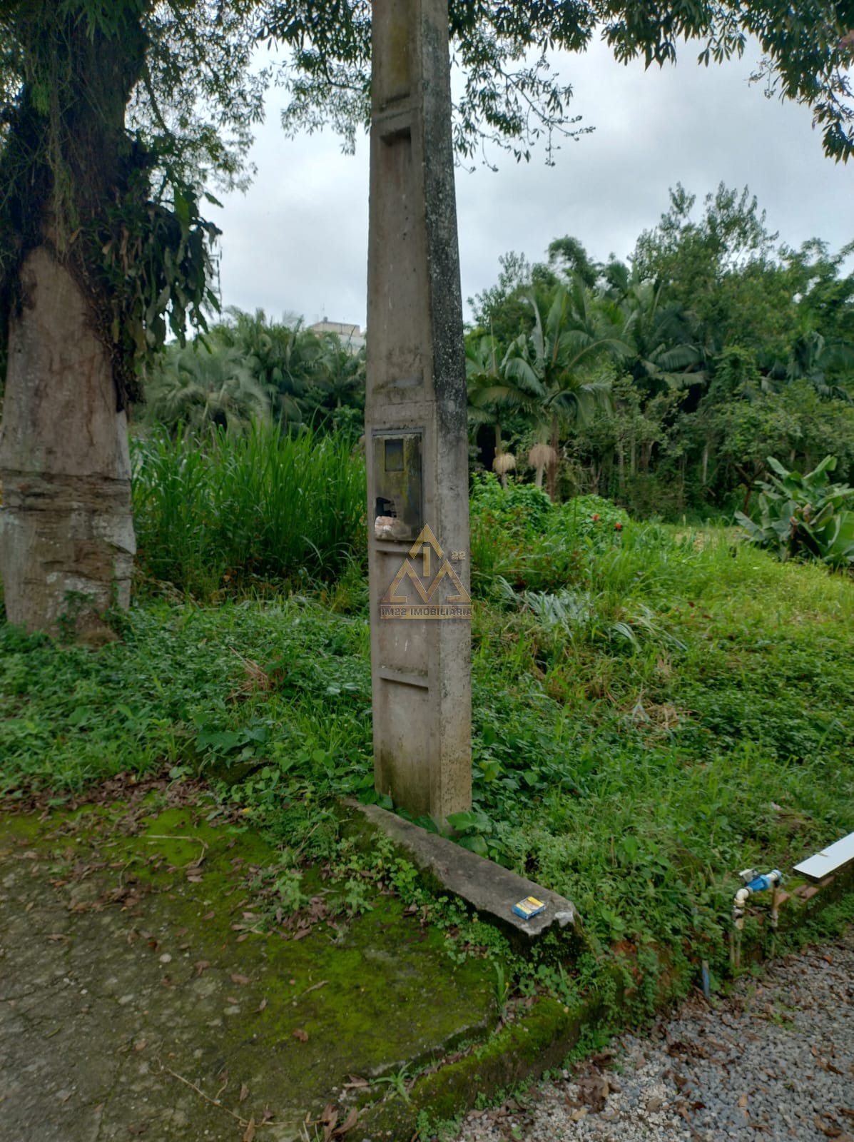 Terreno à venda com 160m² de terreno no Ribeirão Fresco, Blumenau (SC) — foto 3 de 9