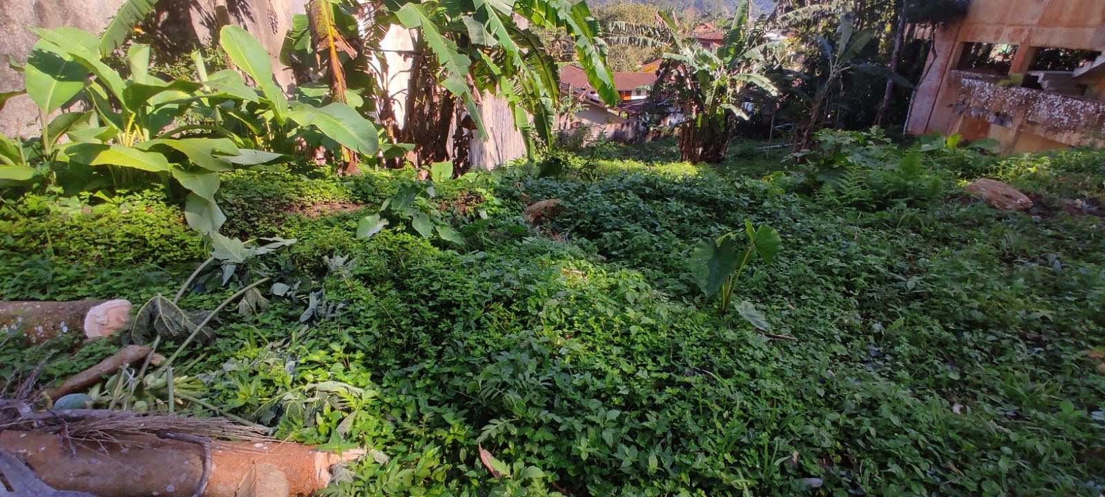 Terreno à venda com 600m² de terreno no Lagoinha, Ubatuba (SP) — foto 8 de 8