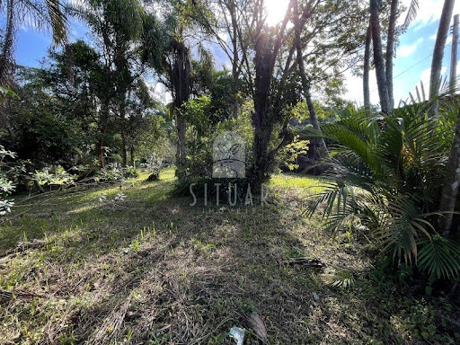 Foto 05