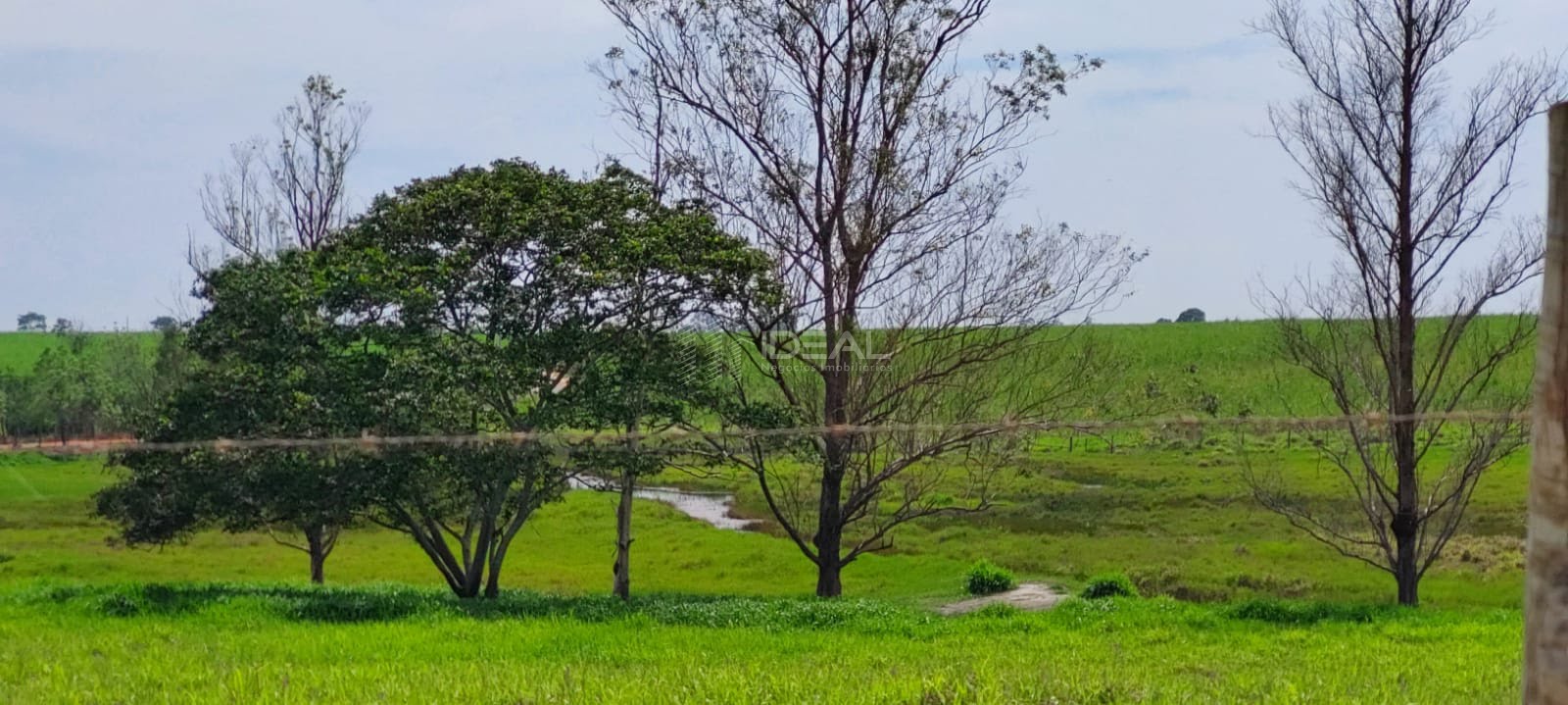 Terreno à venda com 1750000m² de terreno no Nova Travessão, Campos dos Goytacazes (RJ) — foto 18 de 30
