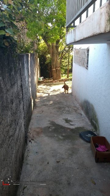 Foto 03