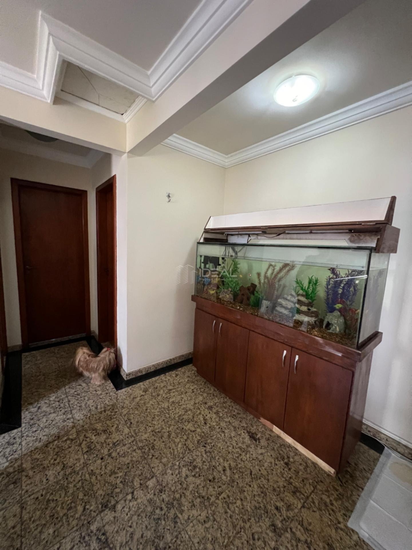 Casa à venda com 3 quartos, 1 suíte e 195m² no Chácara João Ferreira, Campos dos Goytacazes (RJ) — foto 27 de 30