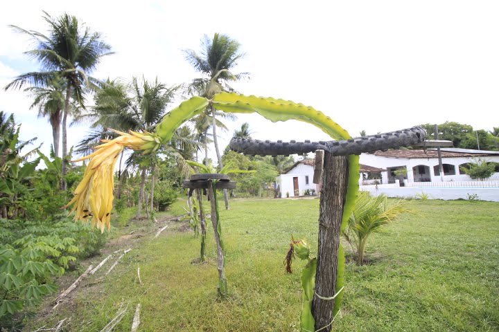 Rural à venda com 25000m² de terreno no Tabuleiro, Igarassu (PE) — foto 24 de 30