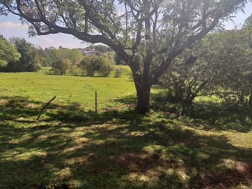Terreno em São Genaro  -  Cruz Alta