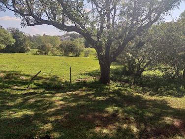 Terreno em São Genaro  -  Cruz Alta