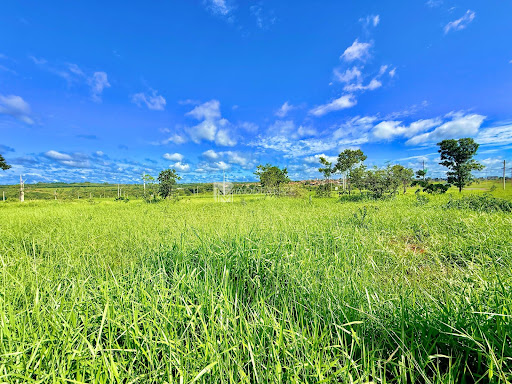 Lote / Terreno em Residencial Village  -  Catalão