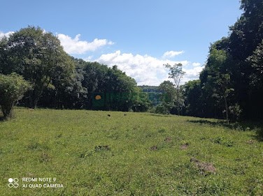 Sítio / Chácara SEM CASA em Santa Tecla  -  Coronel Pilar