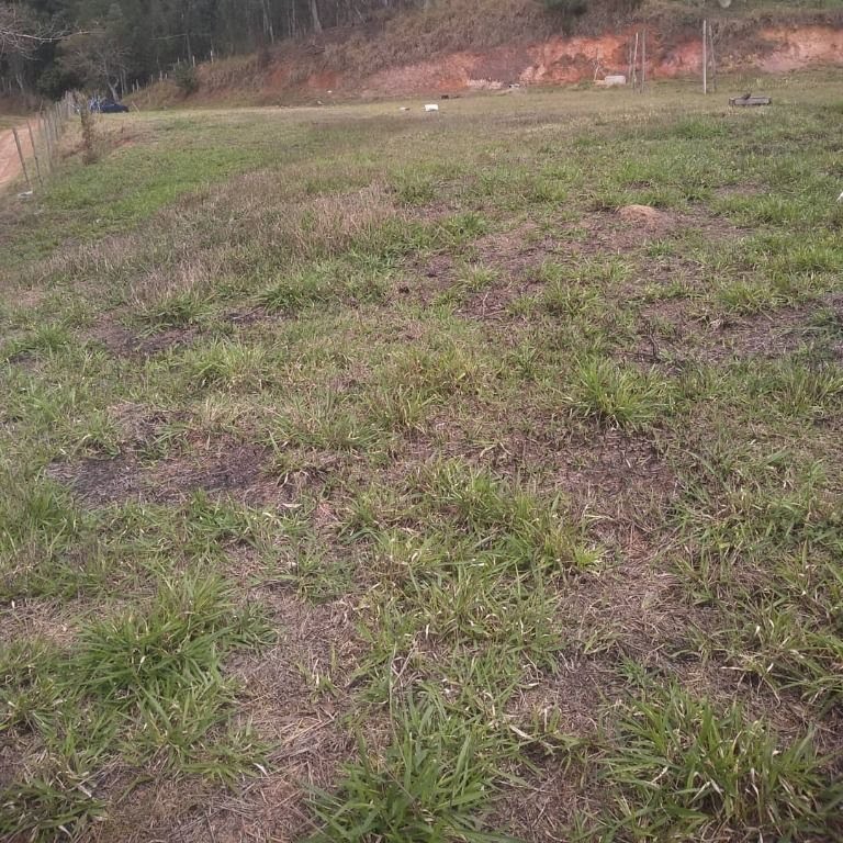 Terreno à venda com 3000m² de terreno no Cachoeira, Santa Isabel (SP) — foto 7 de 7