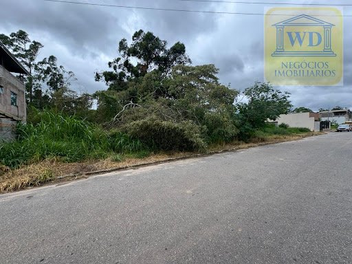 Lote em  Alfredo Vasconcelos