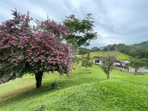 Foto 08