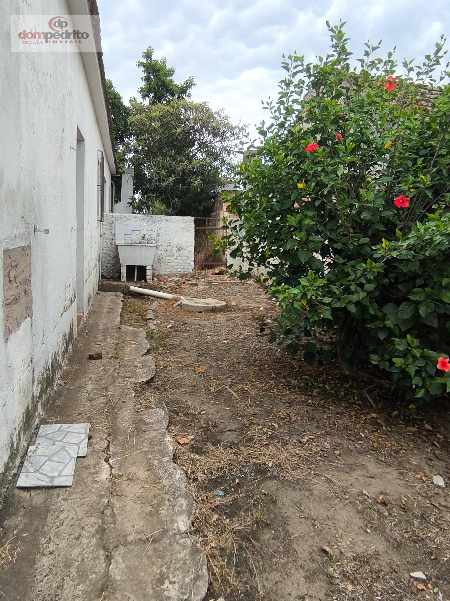 Pátio lateral 